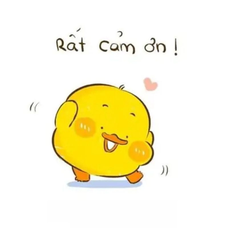 ảnh meme cảm ơn 14