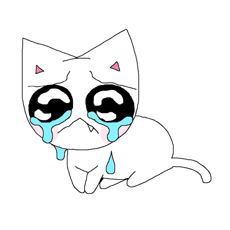 Ảnh crying meme 3