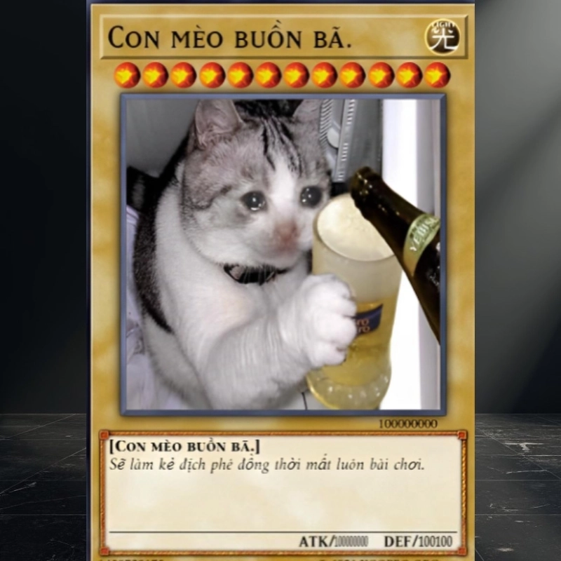 meme lá bài 29