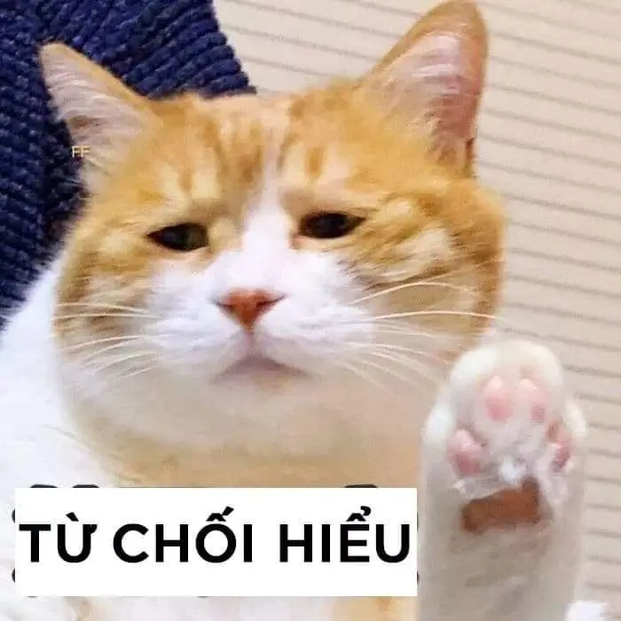 ảnh meme bất lực 8