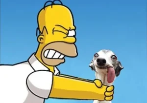 99+ Ảnh Meme Bóp Cổ Hài Hước Khiến Bạn Cười Ra Nước Mắt
