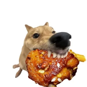 119+ Meme Chó Đáng Yêu Khiến Bạn Cười Không Ngớt