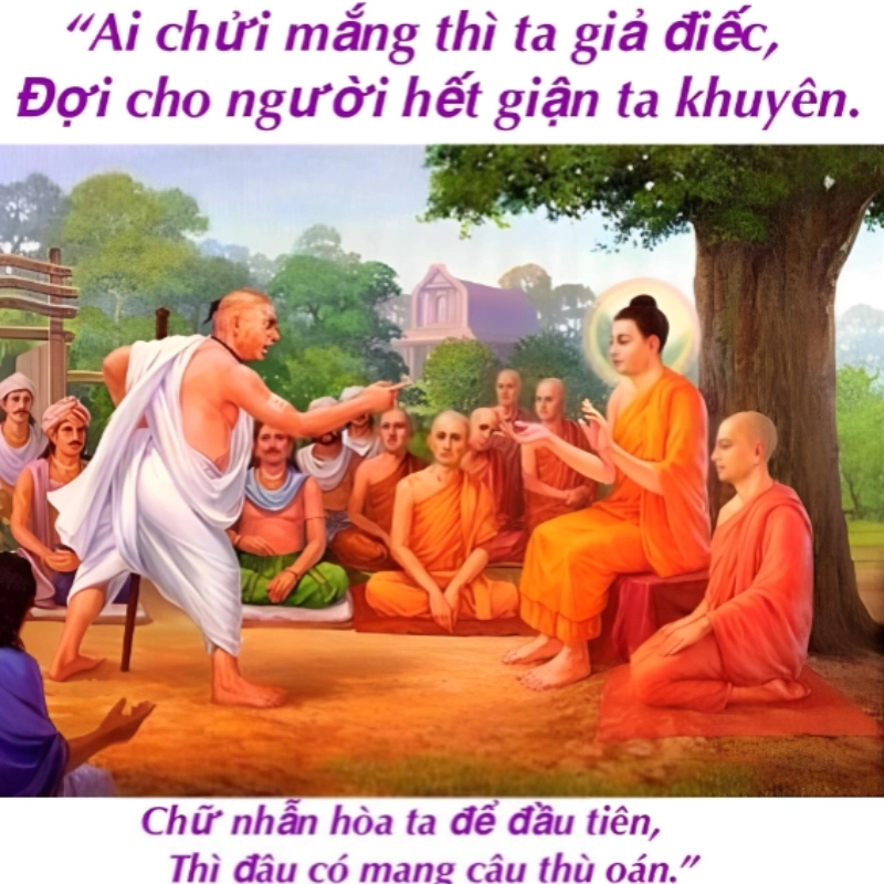 meme chửi 24