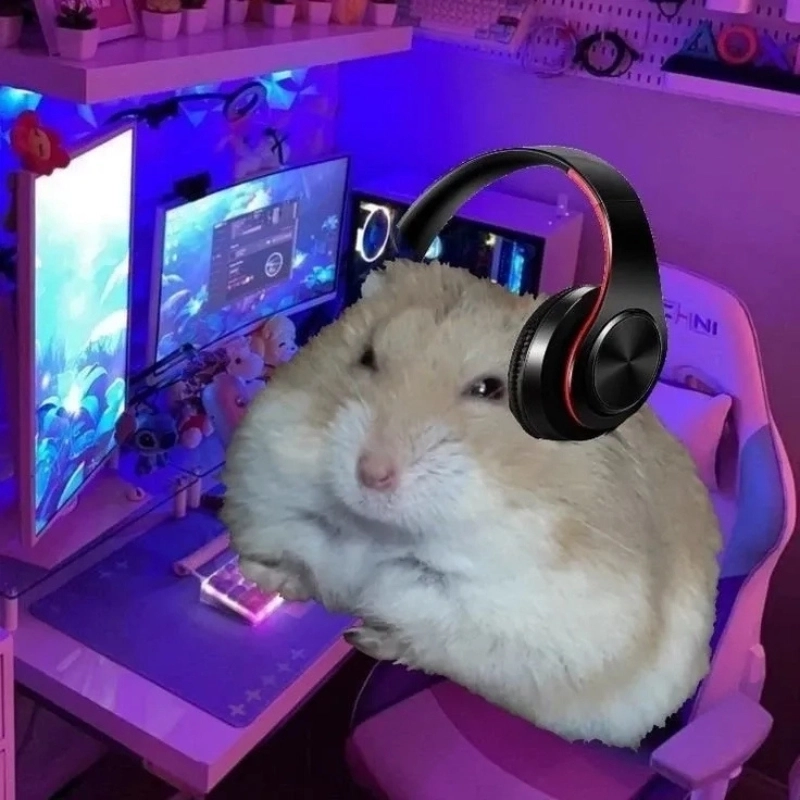 meme chuột 22