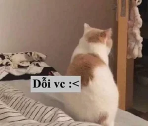 119+ Ảnh Meme Dỗi Hờn Cực Yêu Khiến Bạn Cười Ra Nước Mắt
