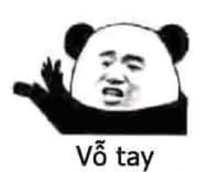 ảnh meme gấu 3