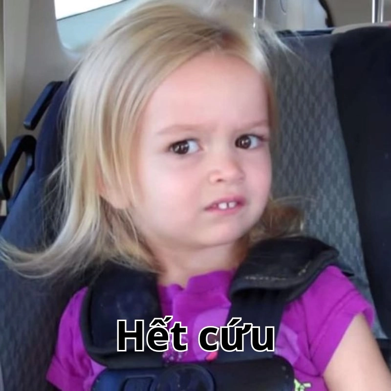 Ảnh meme hết cứu 4