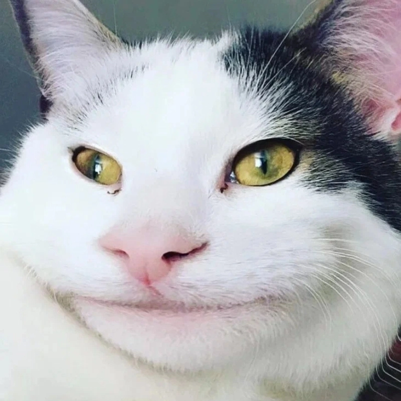 meme bựa chất 16