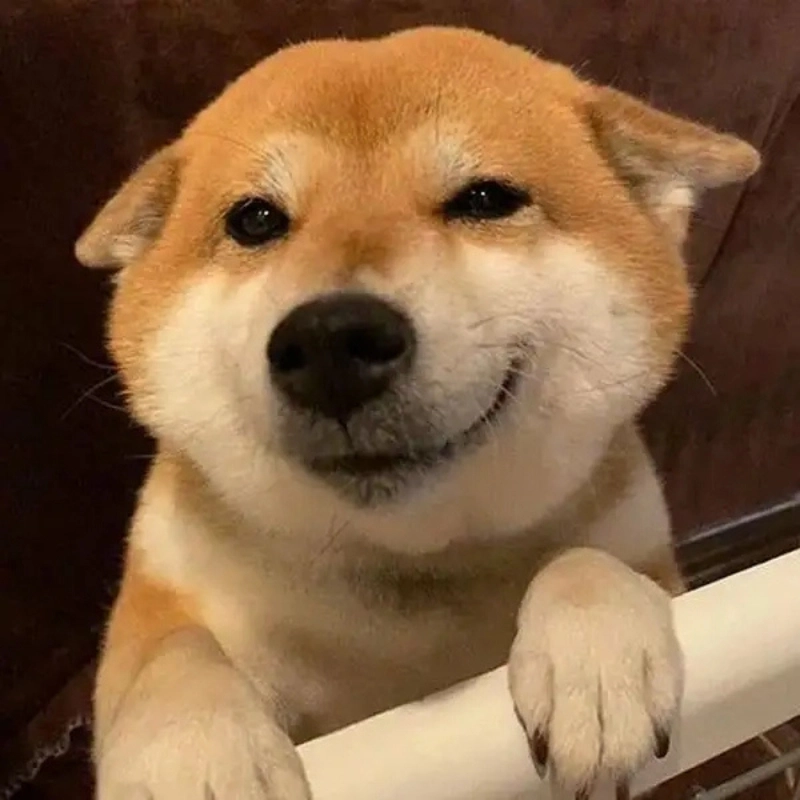 meme bựa chất 7