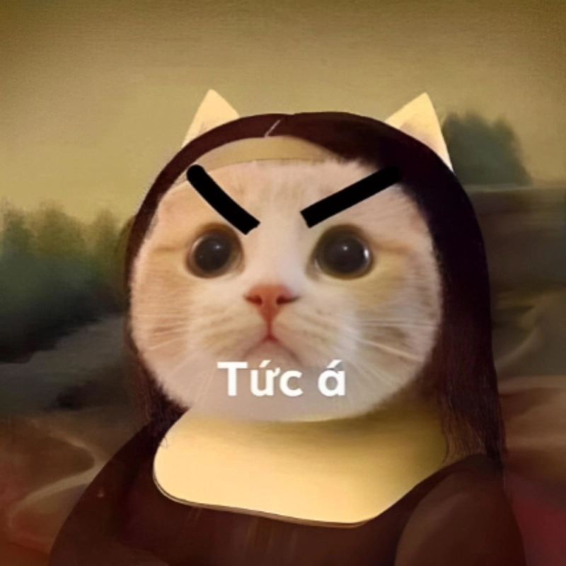 ảnh meme tức giận 35