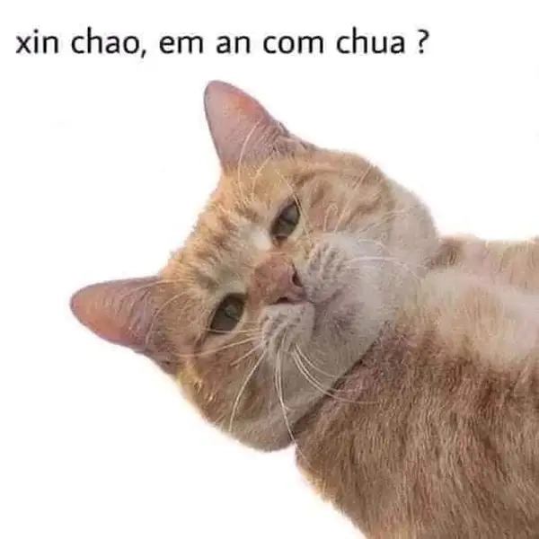 Ảnh meme xin chào 15