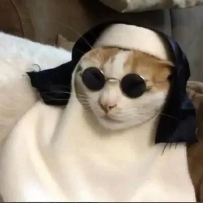 ảnh chế meme mèo bựa 28