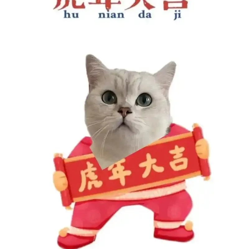 meme mèo Tết 33