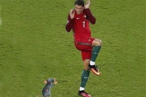 119+ Ảnh Ronaldo Meme Khiến Bạn Cười Nghiêng Ngả Không Ngừng