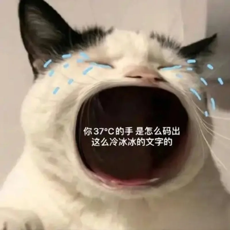 ảnh chế meme mèo bựa 43