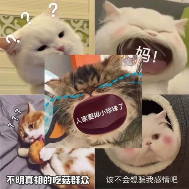 ảnh chế meme mèo bựa 44