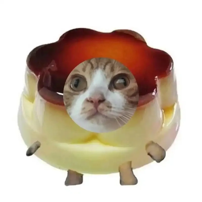 ảnh chế meme mèo bựa 45