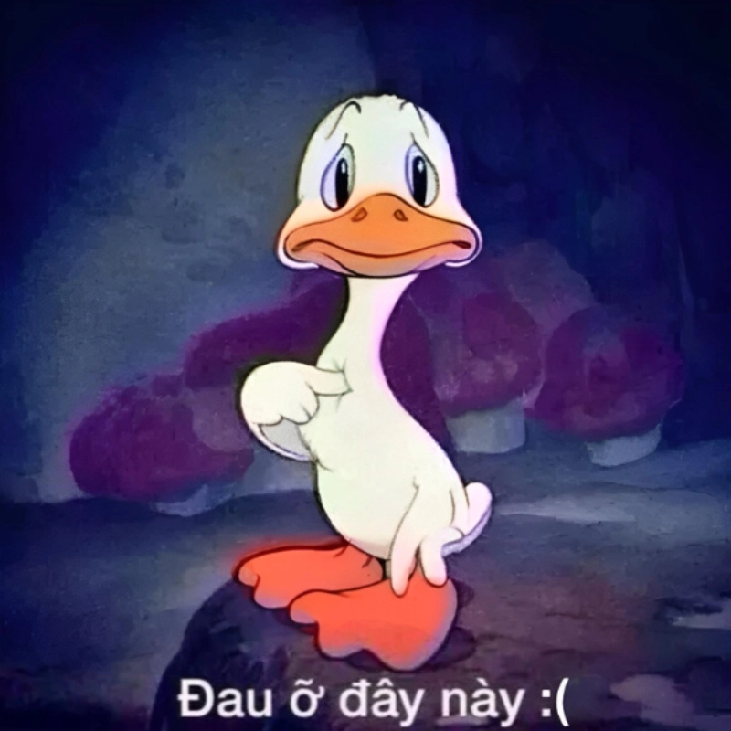 meme vịt 8
