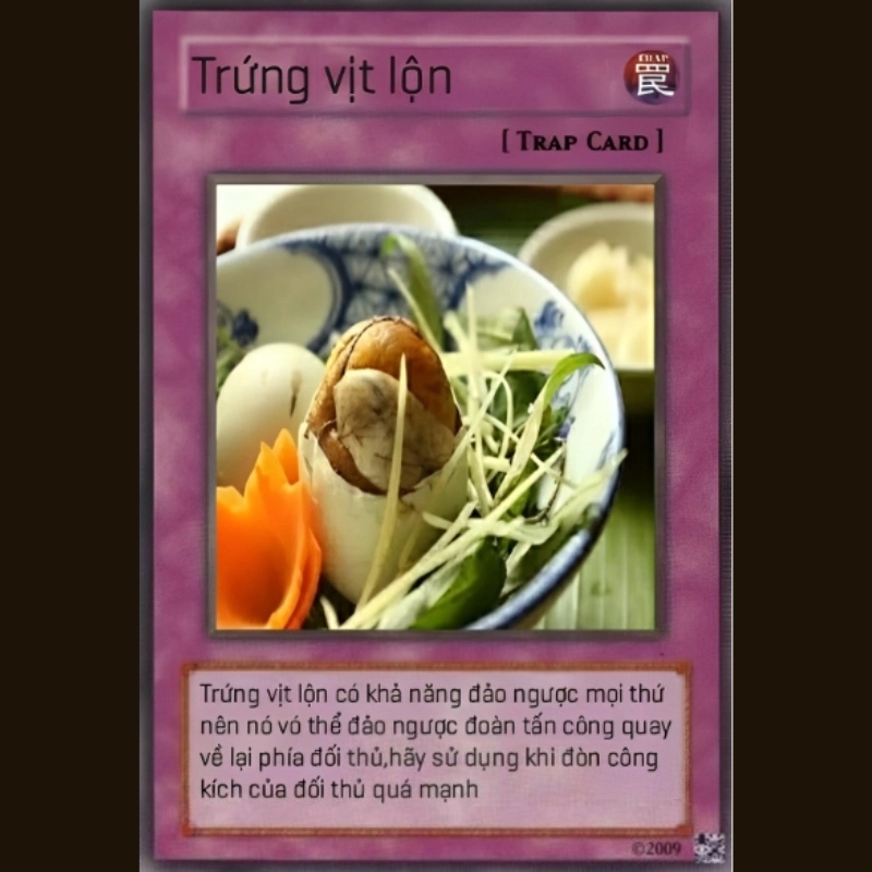 meme vịt 9