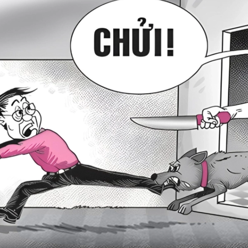 meme chó 9