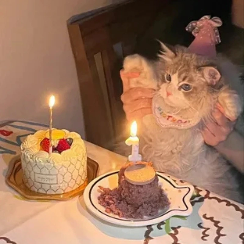 meme ảnh cute 19