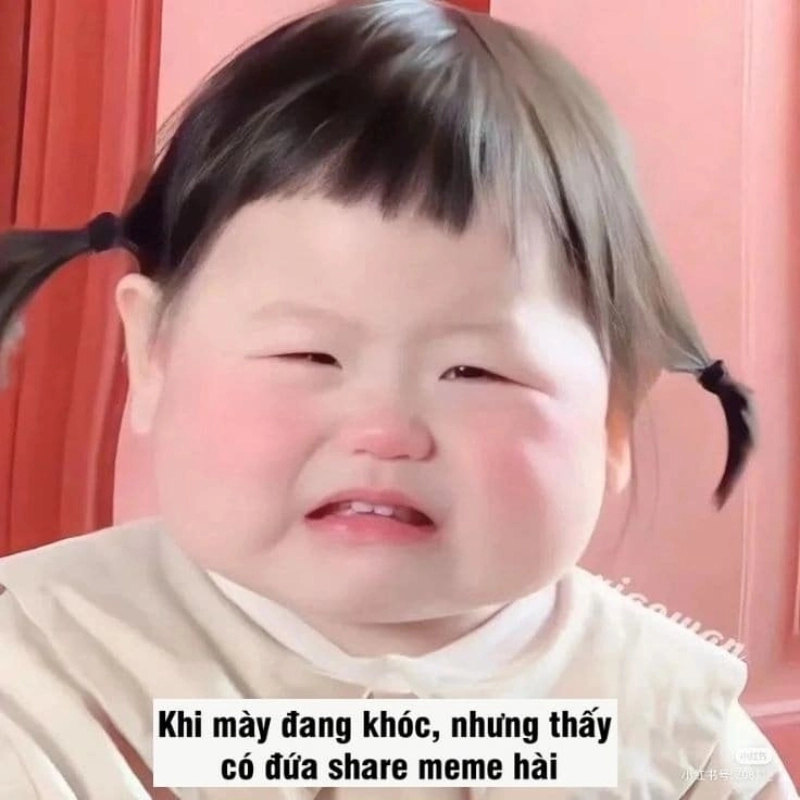 meme hài hước 41