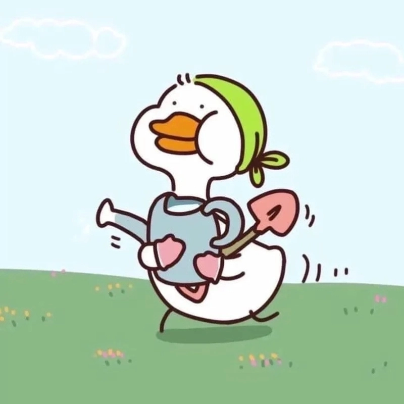 meme vịt hài hước 21