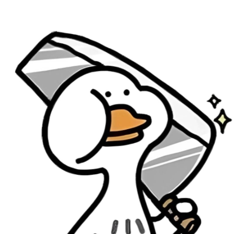 meme vịt hài hước 17