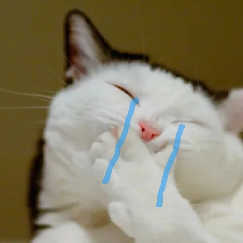 meme ảnh cute 26