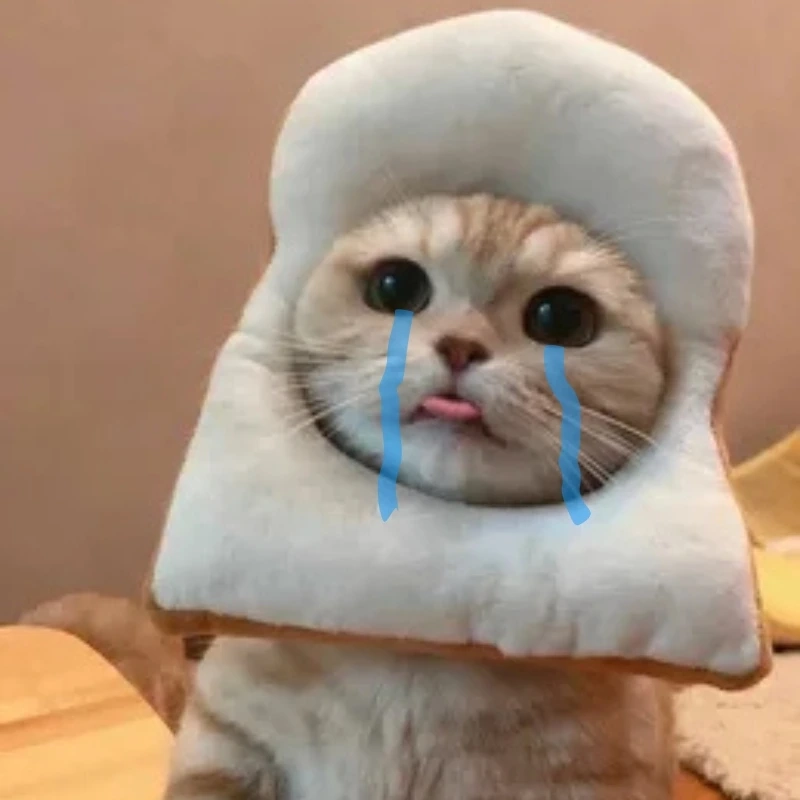 meme ảnh cute 27