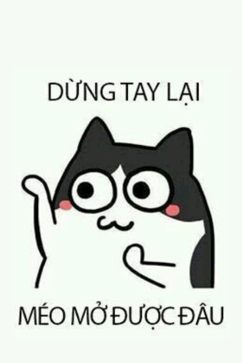 hình nền meme 16