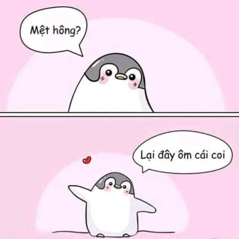 meme an ủi 6