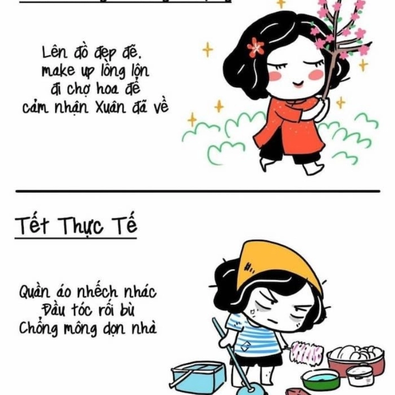 ảnh meme Tết 6
