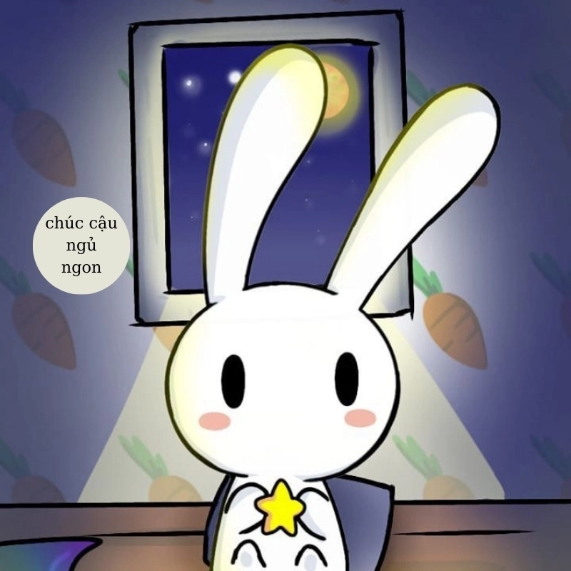 meme ngủ 21