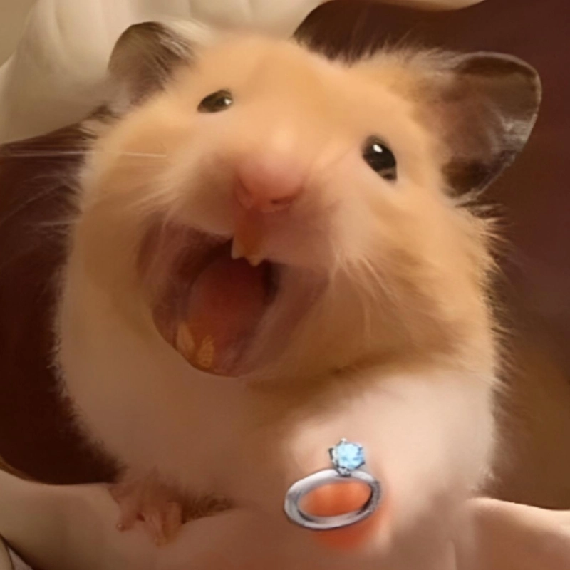 meme chuột 3