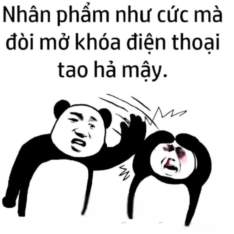 meme đánh nhau 19