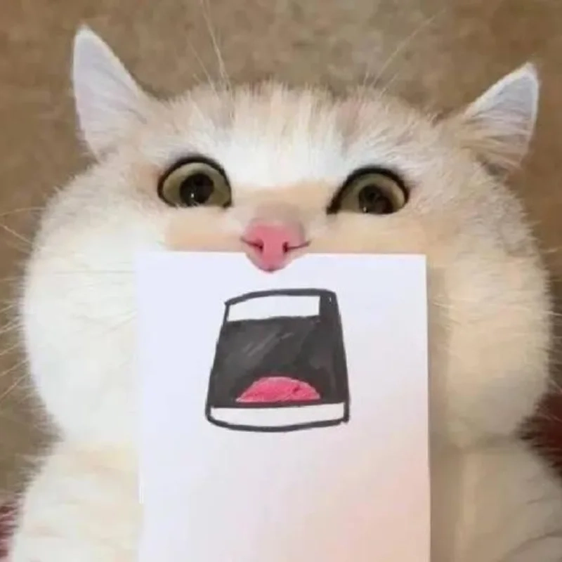 ảnh chế meme mèo bựa 10