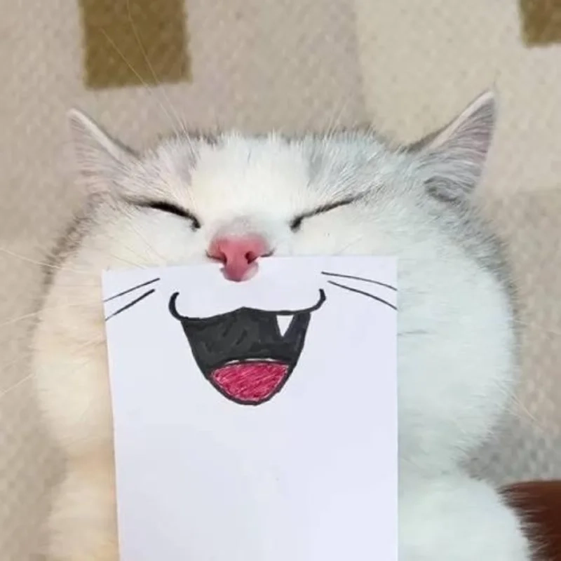 ảnh chế meme mèo bựa 4