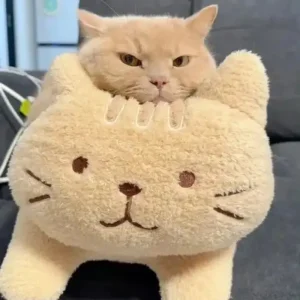 119+ Ảnh Chế Meme Mèo Bựa Độc Quyền, Cười Ra Nước Mắt!