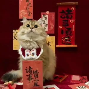 119+ Meme Mèo Tết Siêu Lầy Lội Chắc Chắn Khiến Bạn Cười Không Ngớt