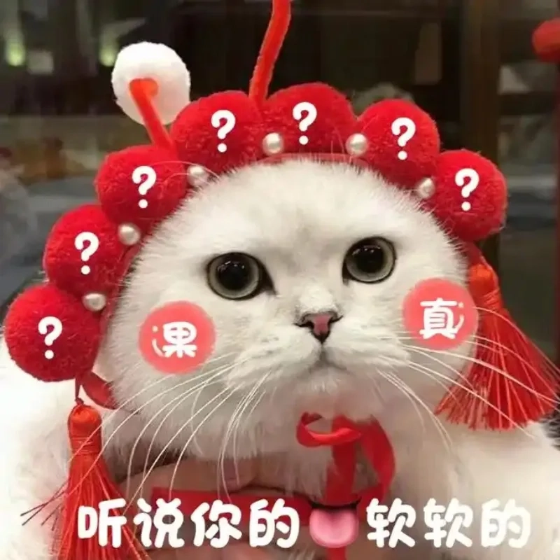 meme mèo Tết 46