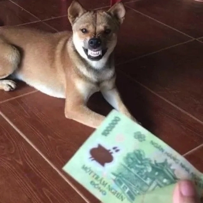 Meme tiền 22