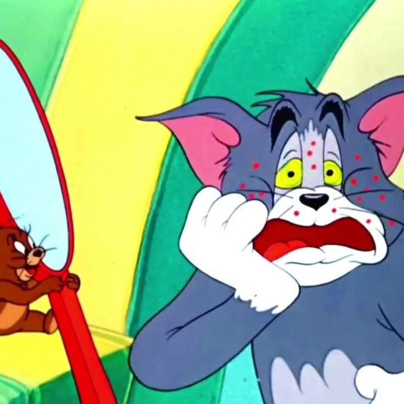 ảnh Meme Jerry 46